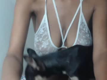 estefania_starlovee chaturbate