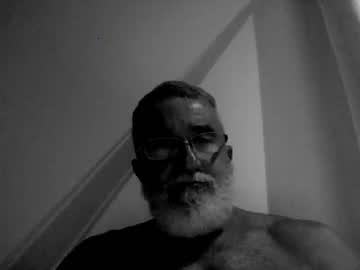 greywoolf42 chaturbate