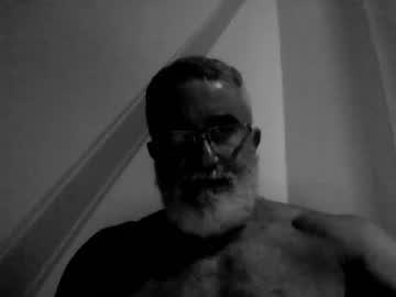 greywoolf42 chaturbate