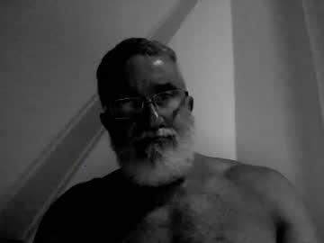 greywoolf42 chaturbate