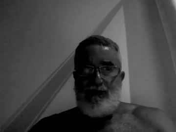 greywoolf42 chaturbate